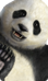 Ttt2 select panda.png